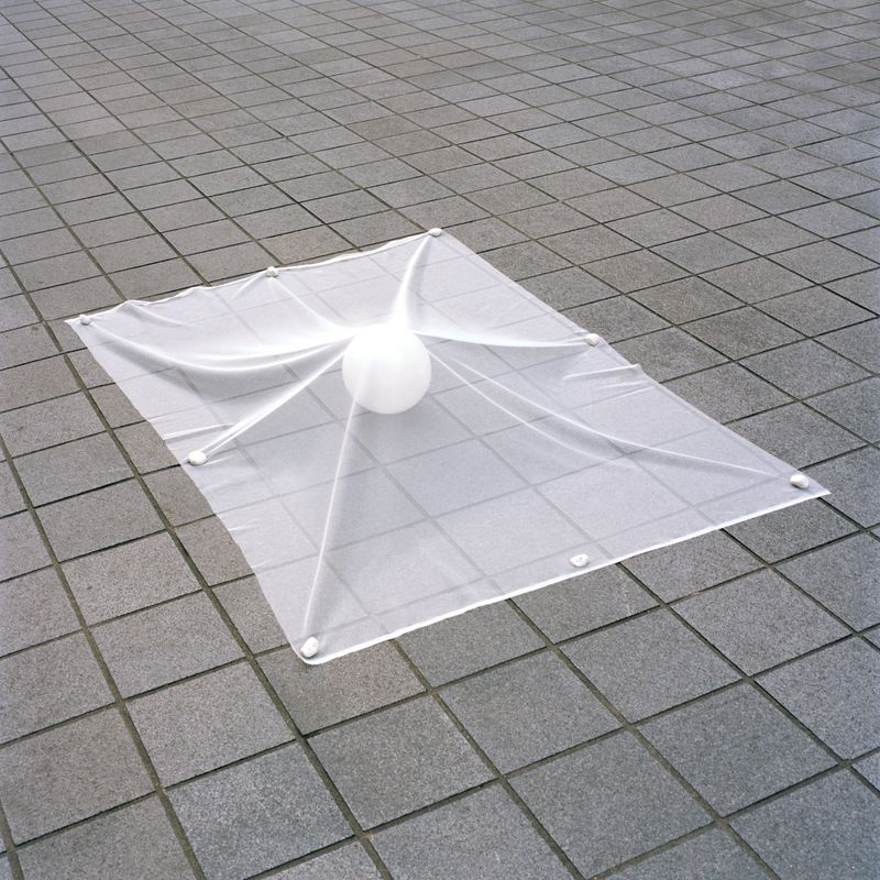 © Su Ji Lee - Flight Risk, 2020