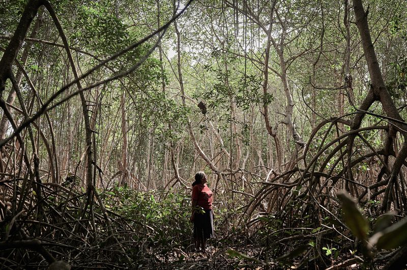 © Elipe mahé - Image from the SEMBRANDO LUCHAS photography project