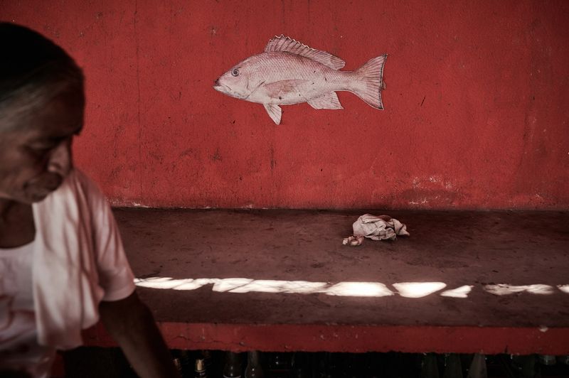 © Elipe mahé - Image from the SEMBRANDO LUCHAS photography project