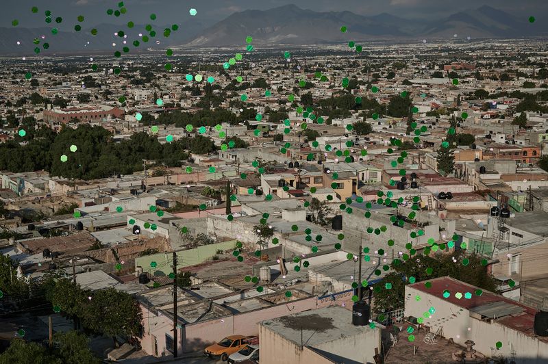 © Elipe mahé - Image from the AcompañantAs: Here shines the green photography project