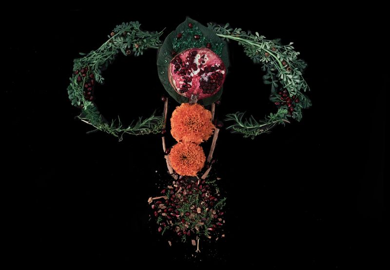 © Elipe mahé - Image from the AcompañantAs: Here shines the green photography project