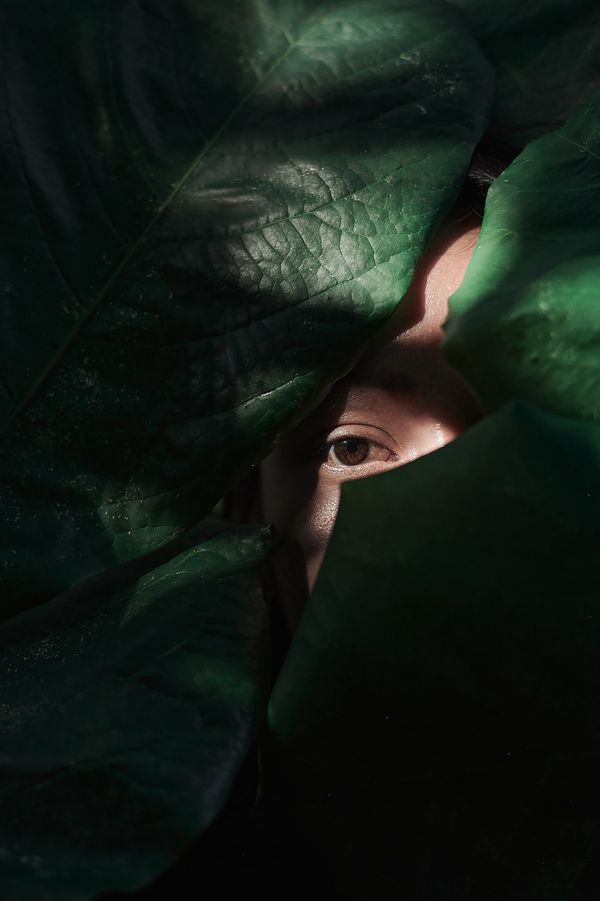 © Elipe mahé - Image from the AcompañantAs: Here shines the green photography project