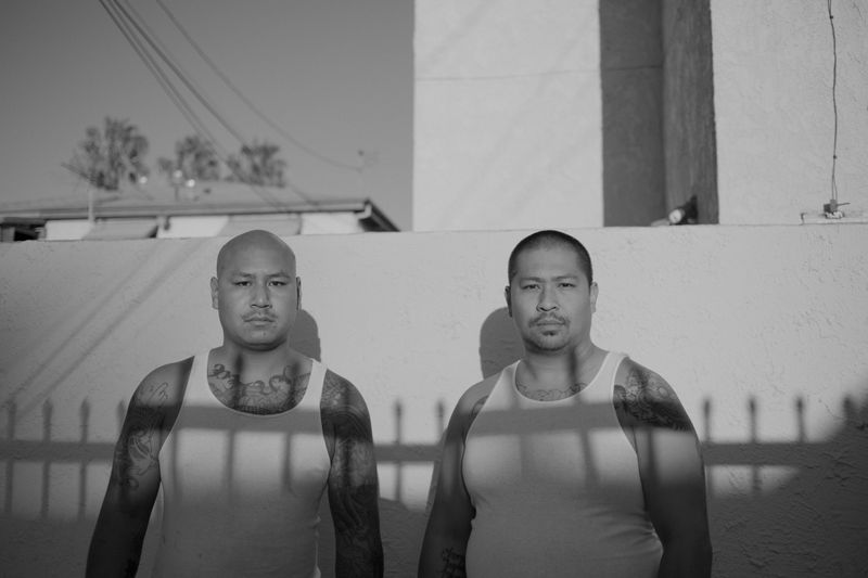 © Kovi Konowiecki - Shadow of Fence, 2016