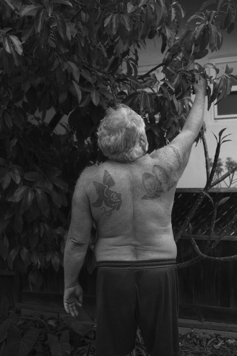 © Kovi Konowiecki - Forbidden Fruit I, 2016