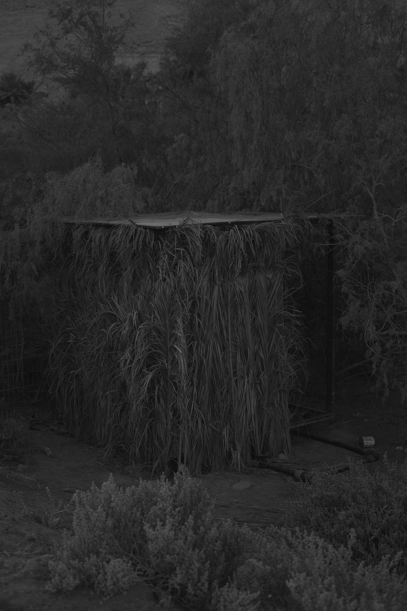 © Kovi Konowiecki - Palms, 2017