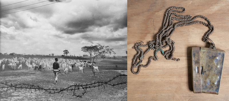 © Nura Qureshi - Image from the Are You Calling Me A Dog? photography project