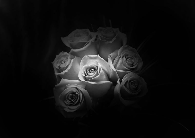 © Poline Harbali - Image from the How much I love autumn photography project