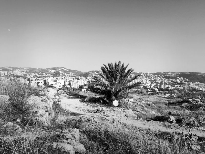 © Poline Harbali - Image from the How much I love autumn photography project