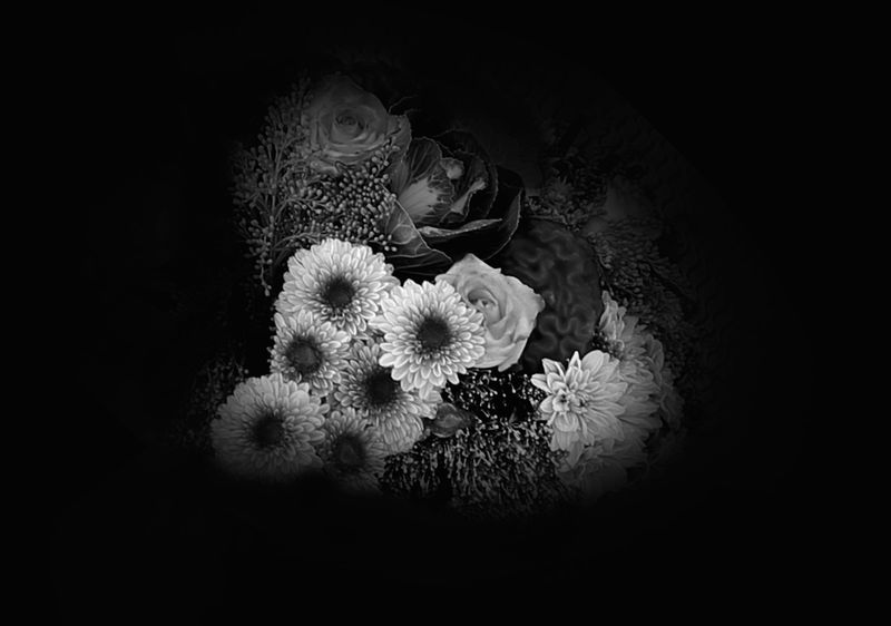 © Poline Harbali - Image from the How much I love autumn photography project