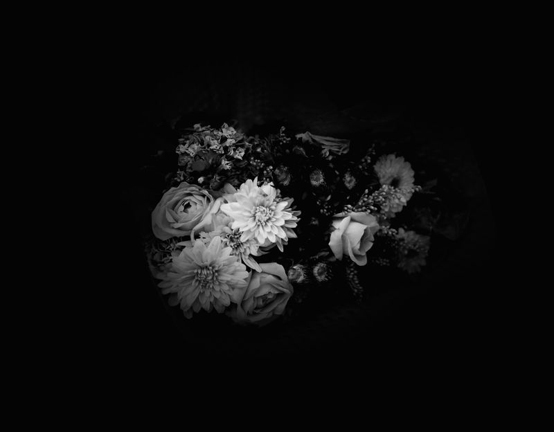 © Poline Harbali - Image from the How much I love autumn photography project