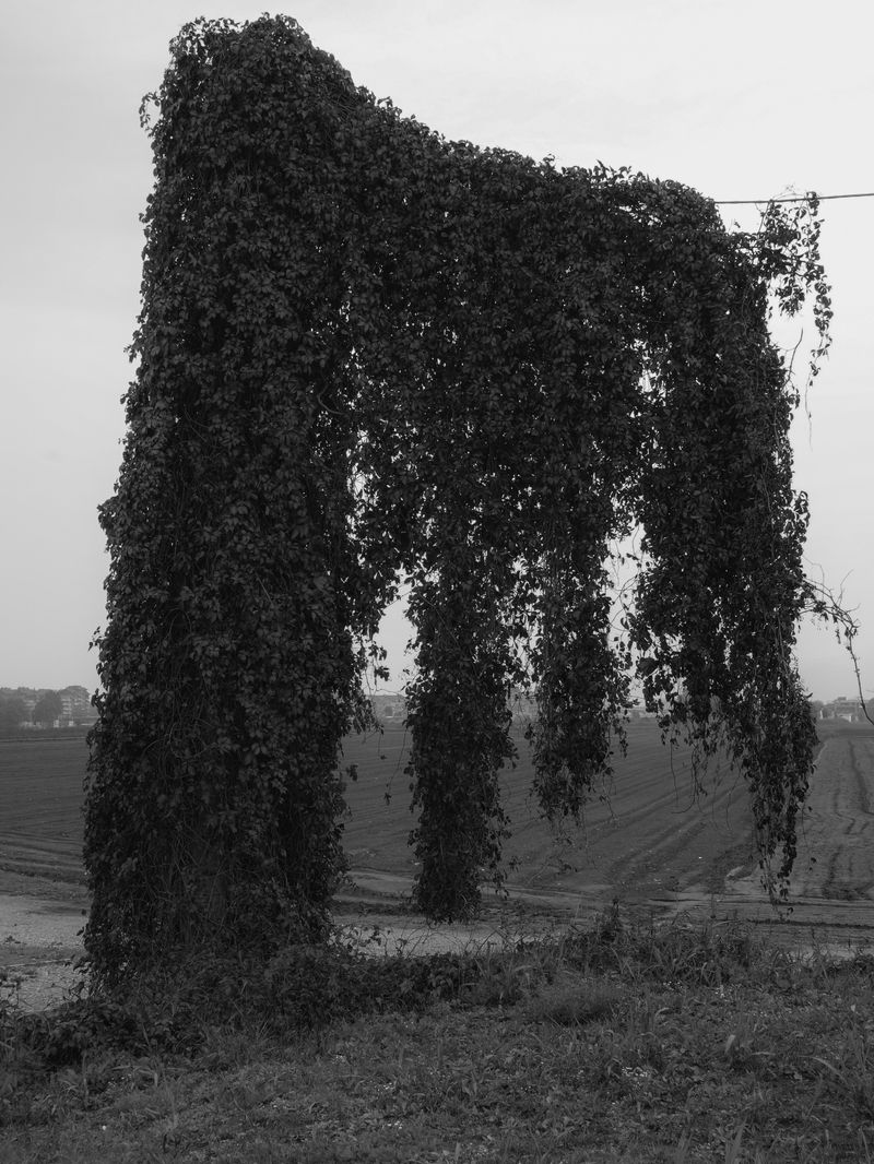 © Andrea Angelino Catella - Image from the TRA photography project