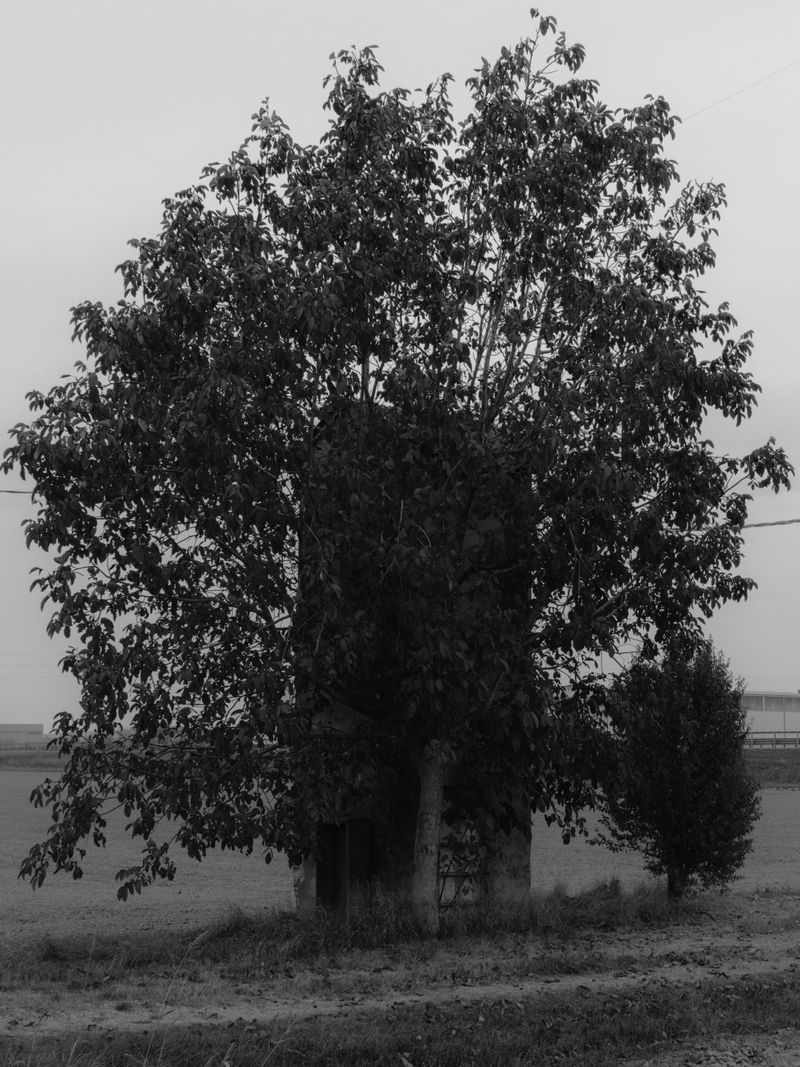 © Andrea Angelino Catella - Image from the TRA photography project