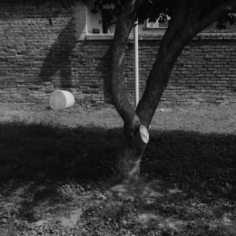 © Andrea Angelino Catella - Image from the TRA photography project