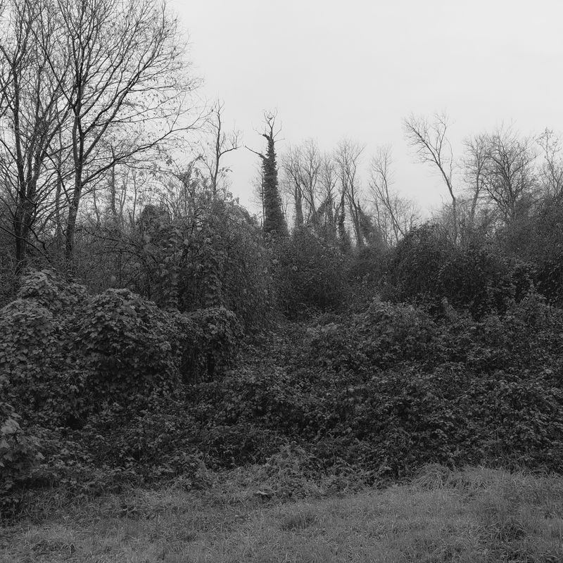 © Andrea Angelino Catella - Image from the TRA photography project