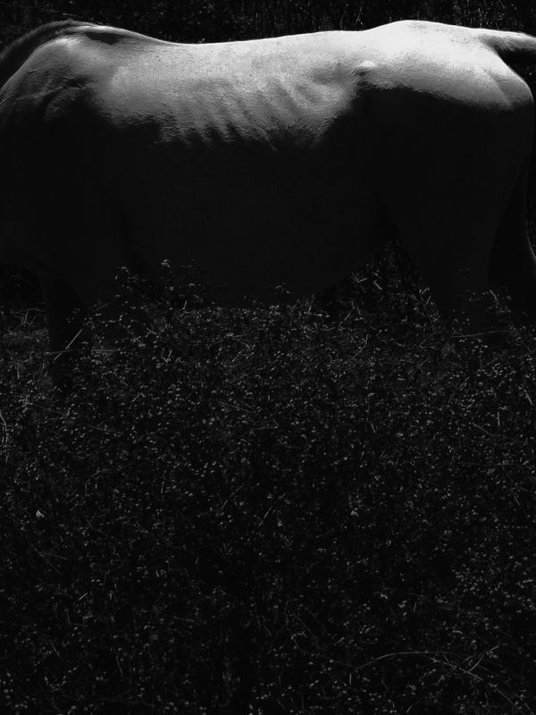 © Andrea Angelino Catella - Image from the TRA photography project