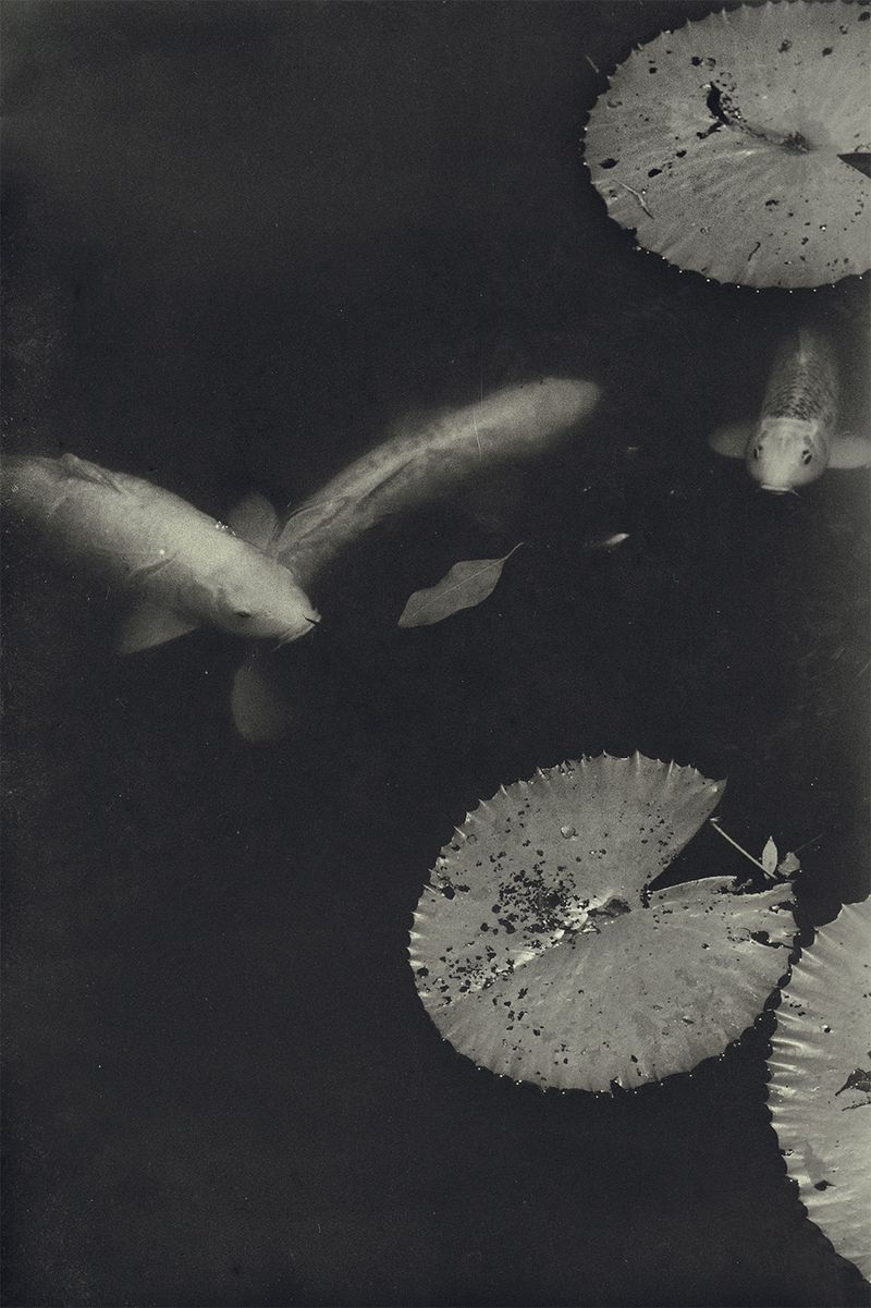 © Quintin H. O'Connell - Image from the Anomie photography project