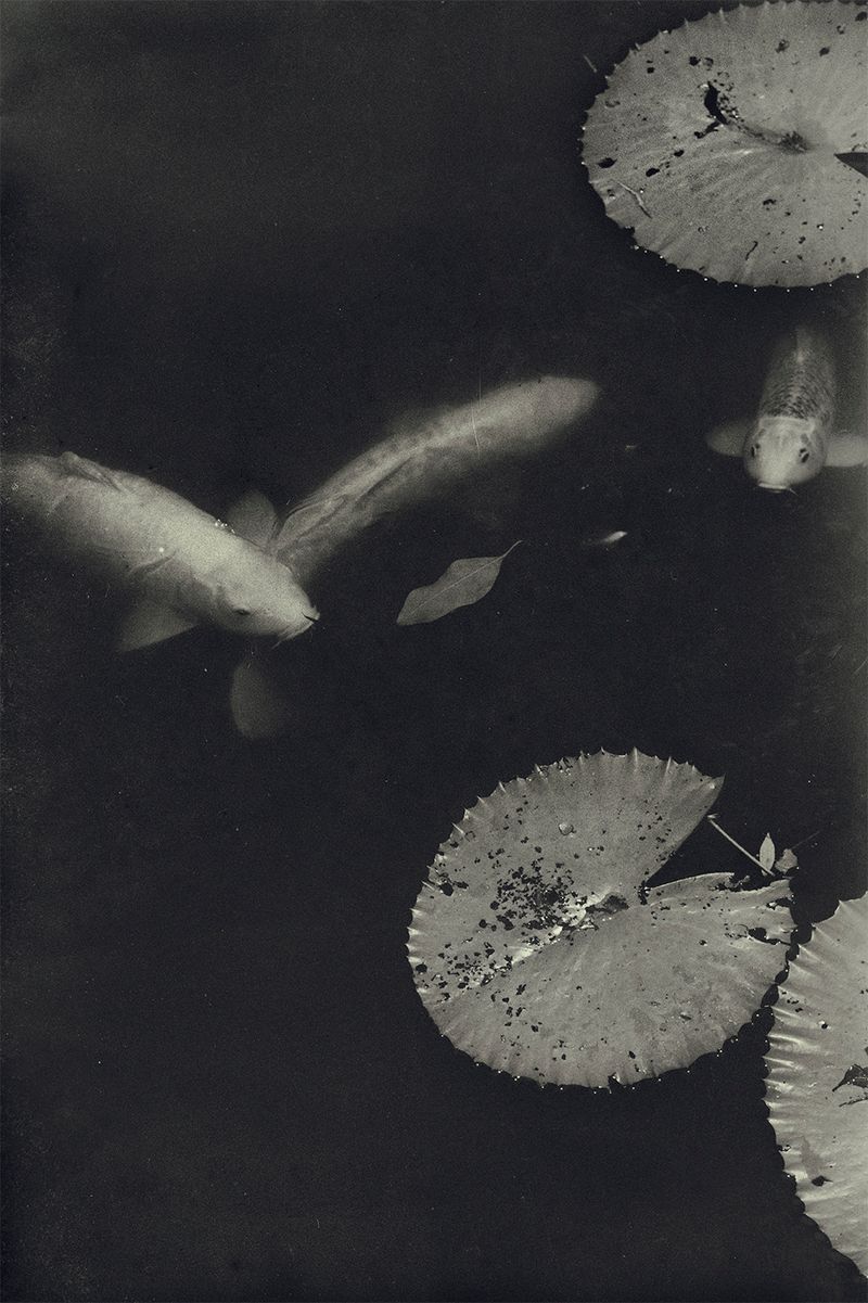 © Quintin H. O'Connell - Image from the Anomie photography project