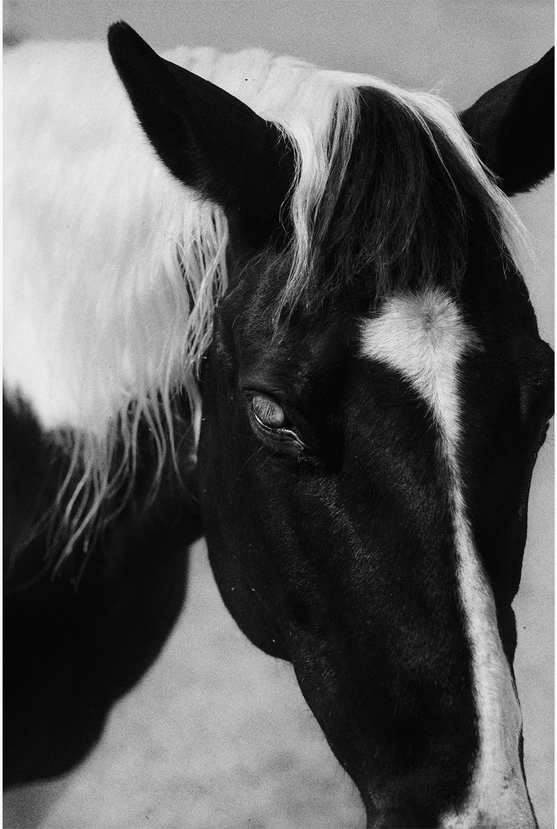 © Quintin H. O'Connell - Image from the Anomie photography project