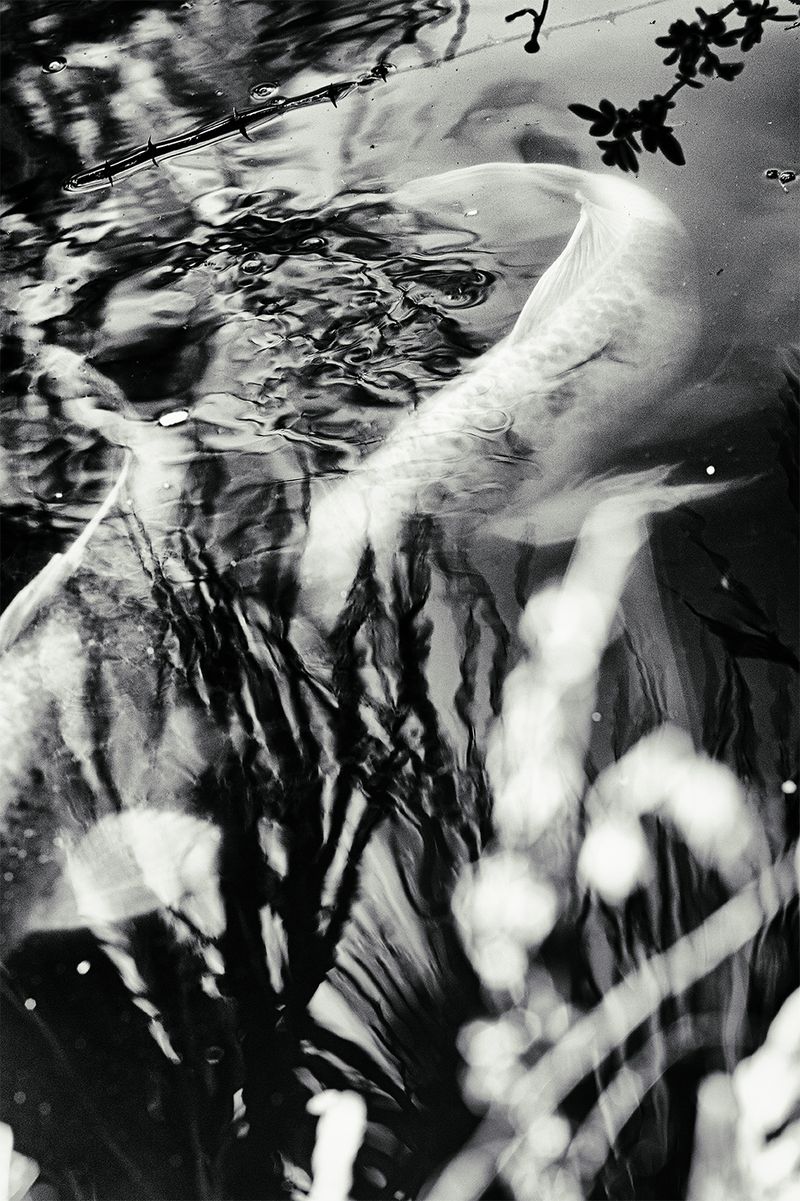 © Quintin H. O'Connell - Image from the Anomie photography project
