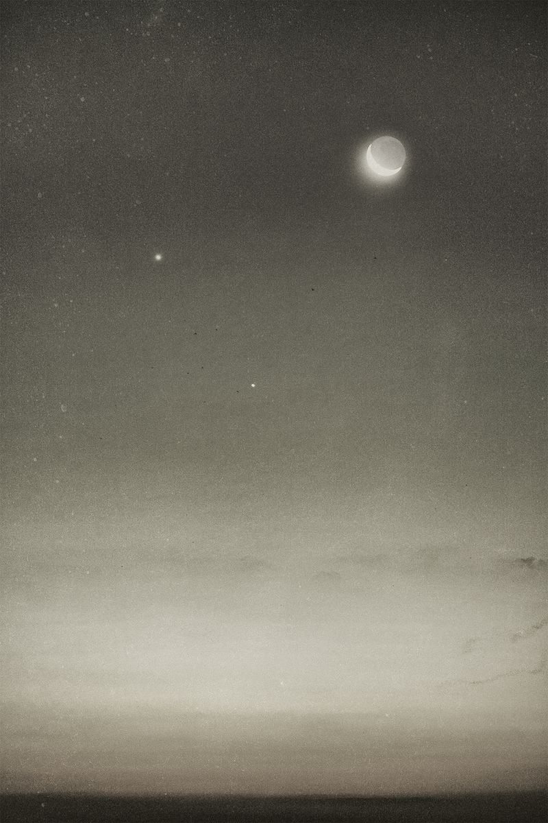 © Quintin H. O'Connell - Image from the Anomie photography project