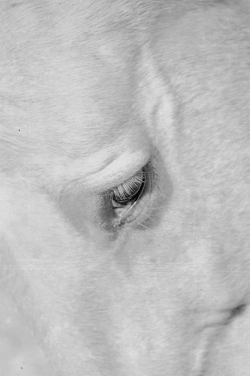 © Quintin H. O'Connell - Image from the Anomie photography project