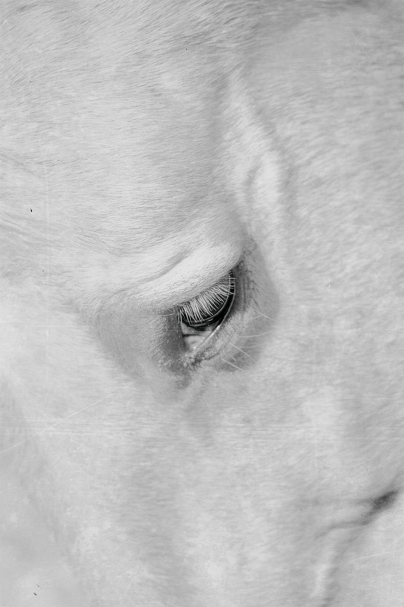 © Quintin H. O'Connell - Image from the Anomie photography project