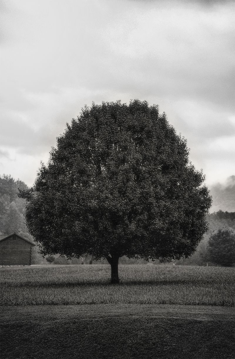 © Quintin H. O'Connell - Image from the Anomie photography project