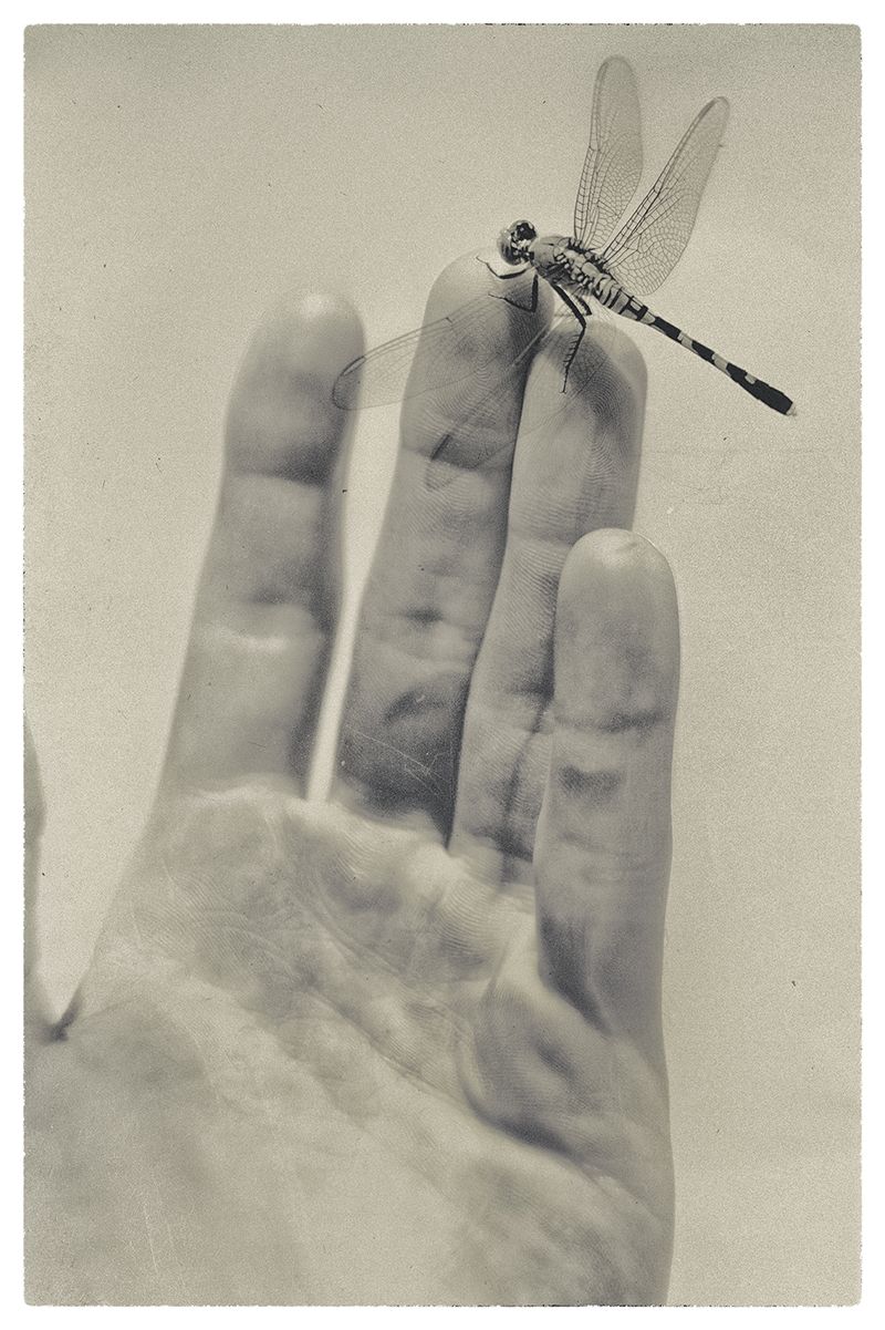 © Quintin H. O'Connell - Image from the Anomie photography project