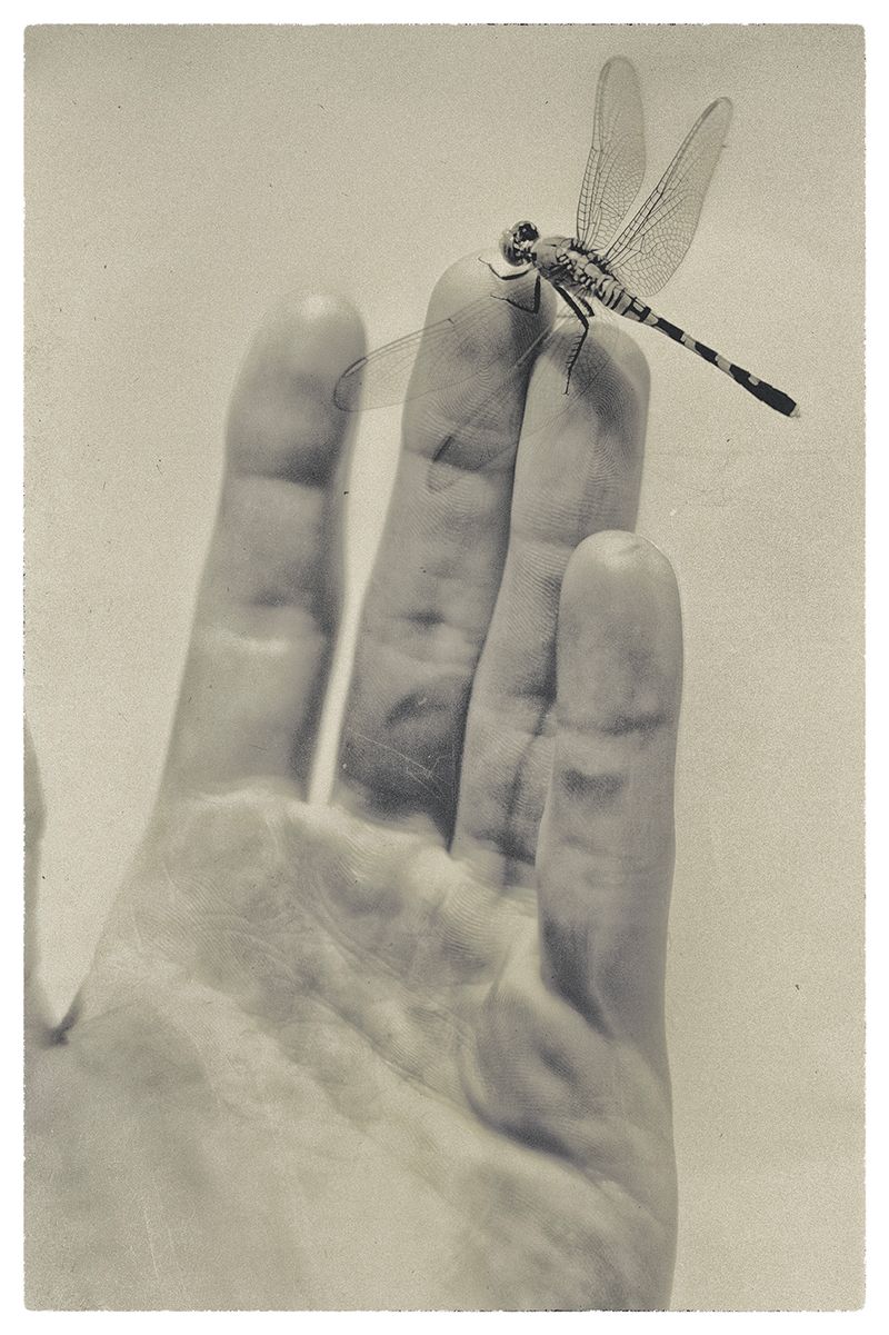 © Quintin H. O'Connell - Image from the Anomie photography project