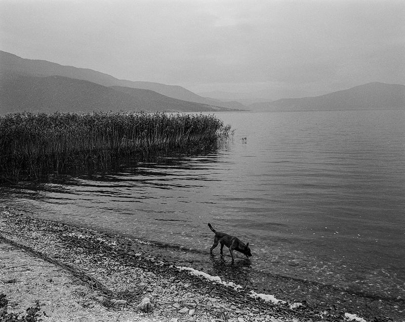 © Angelos Tzortzinis - Image from the Little left to lose photography project