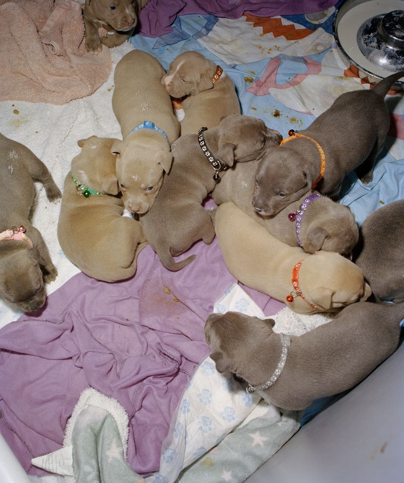 © Chris Hoare - Image from the Seven Hills photography project