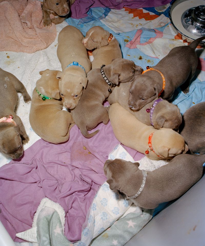 © Chris Hoare - Image from the Seven Hills photography project