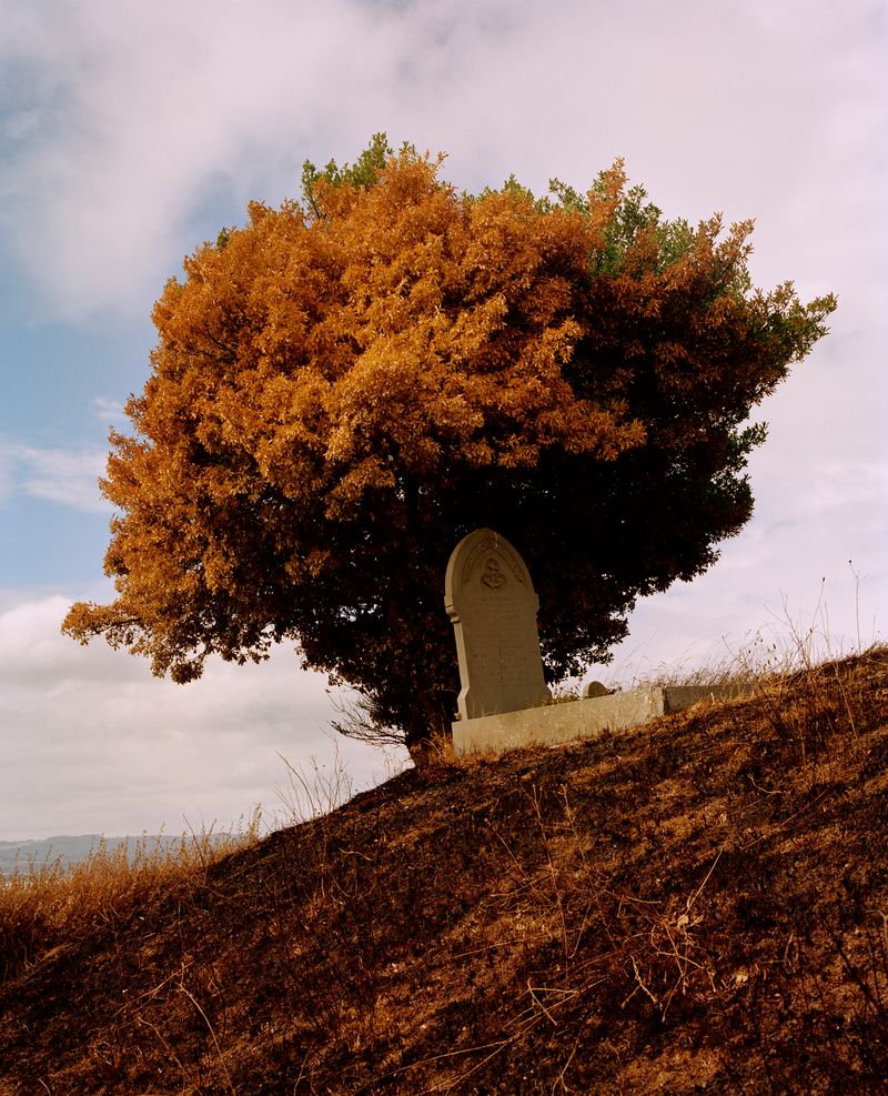 © Chris Hoare - Image from the Seven Hills photography project