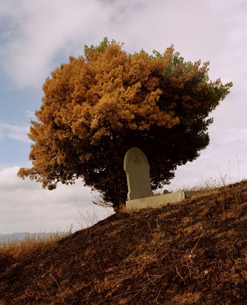 © Chris Hoare - Image from the Seven Hills photography project