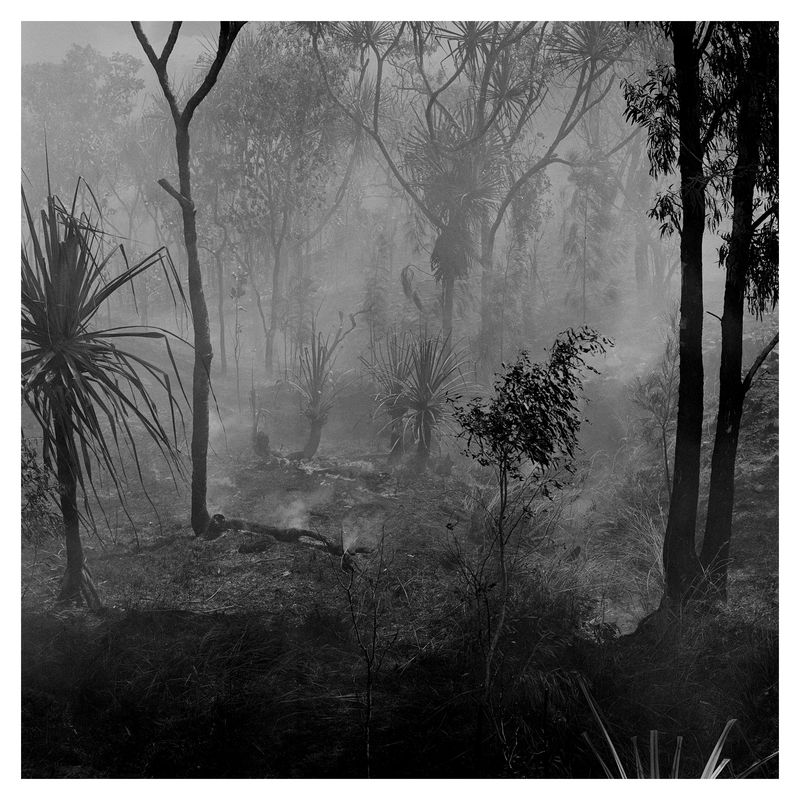© Chris Hoare - Bush fire, Broome.