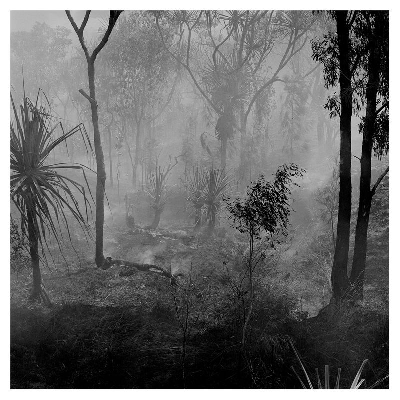 © Chris Hoare - Bush fire, Broome.
