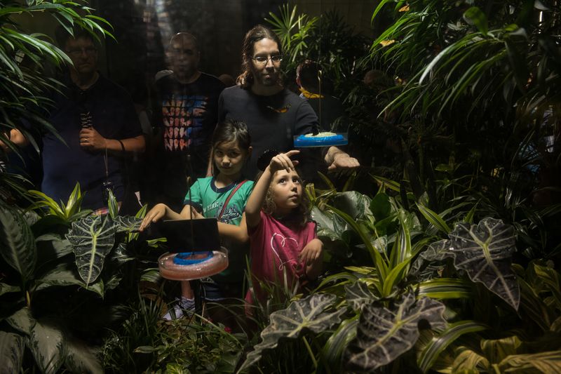 © Fulvio Bugani - Image from the Be unschooler photography project