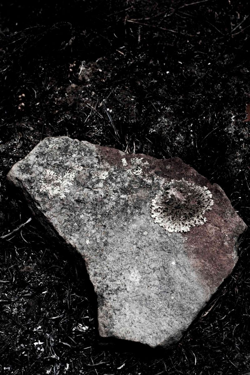 © Francisco Vigo - Image from the qayaqpuma photography project