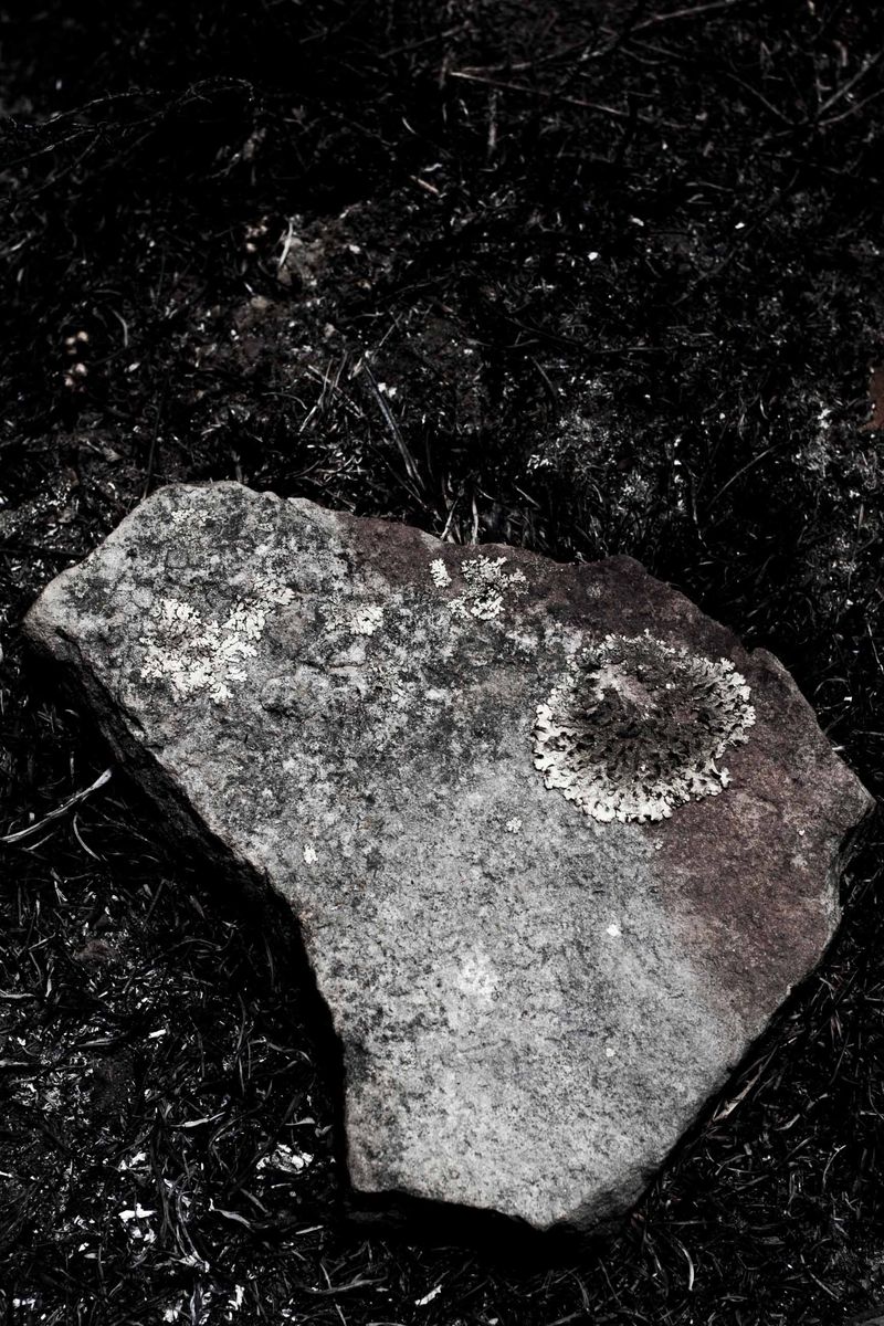 © Francisco Vigo - Image from the qayaqpuma photography project