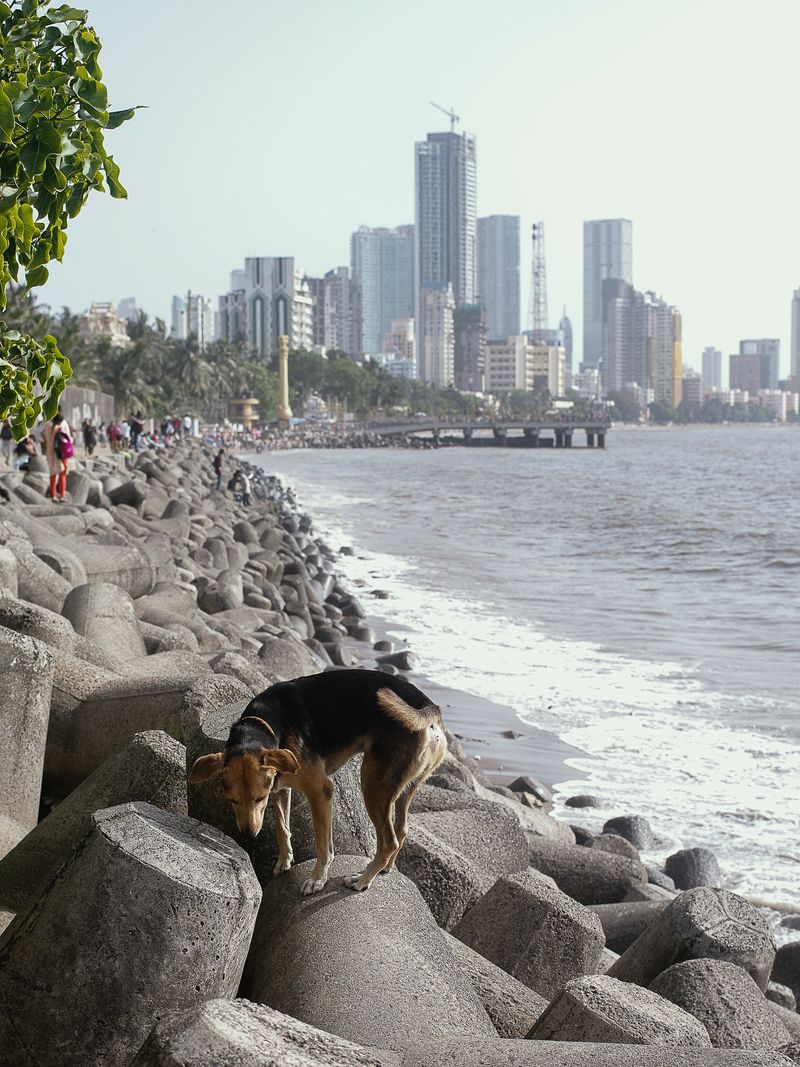 © Akshay Mahajan - Image from the *to die is to be turned to gold photography project