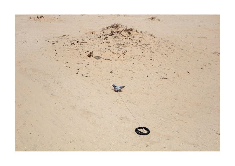 © Martin Kollar - Image from the IRRATIONAL TIMES photography project