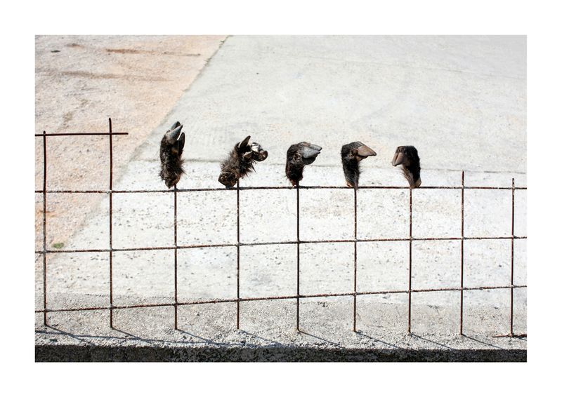 © Martin Kollar - Image from the IRRATIONAL TIMES photography project