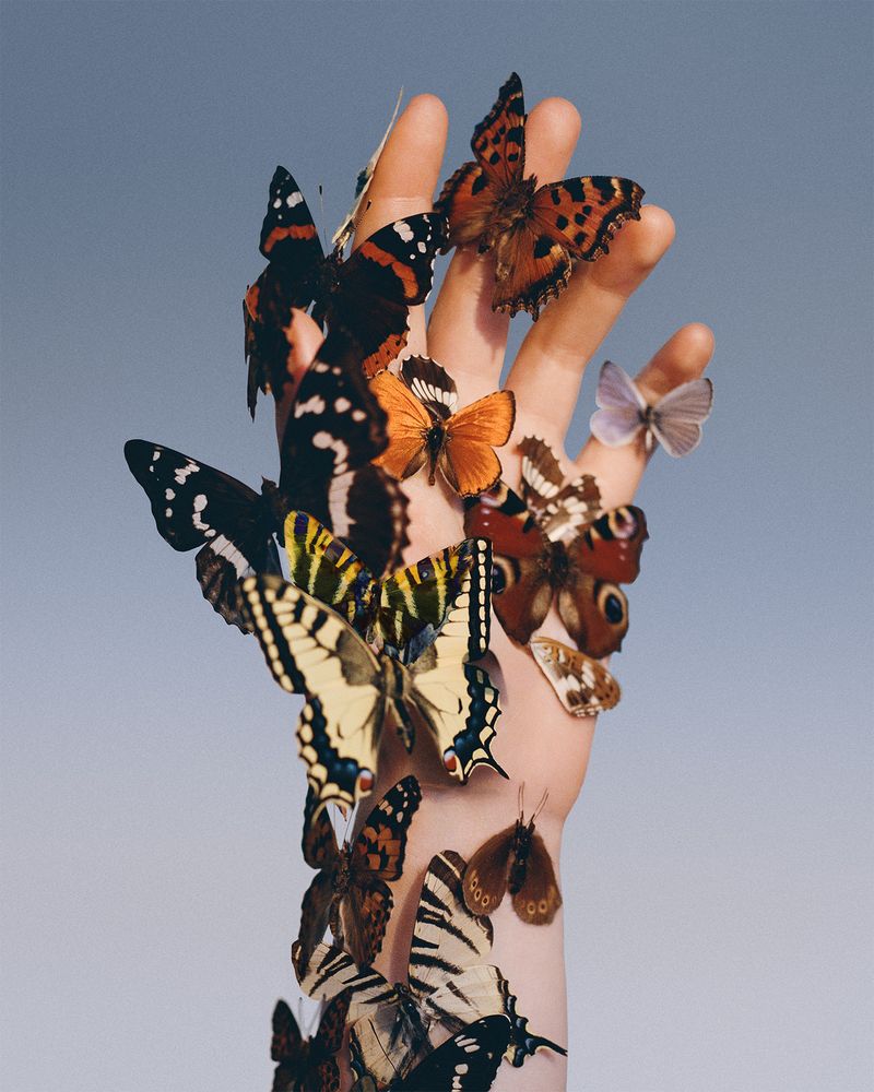 © Synchrotania - Image from the Innerland photography project