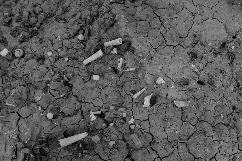© Gildo Molinari - Image from the The Land of Madness photography project