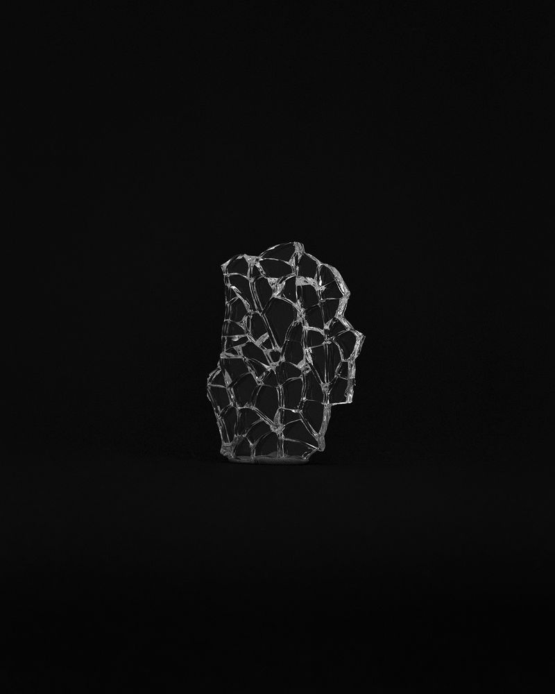 © Caroline Koning - Image from the Re-Order photography project