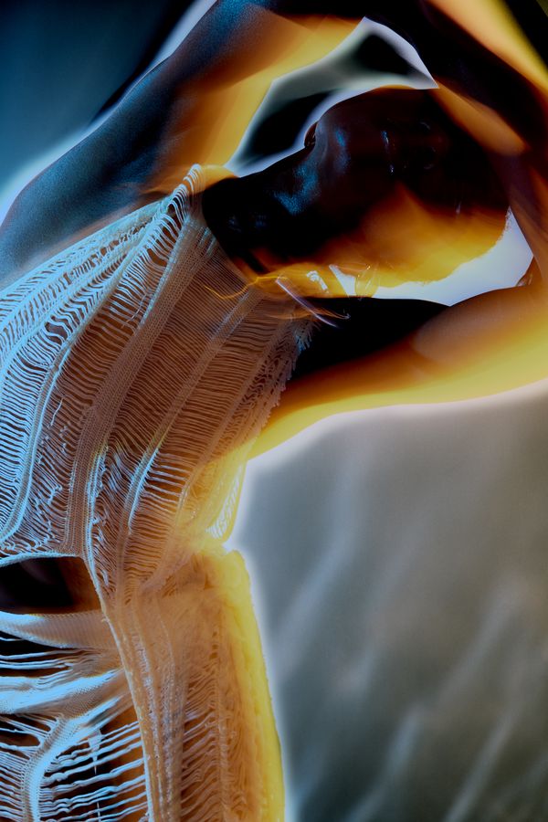 © Laura Knipsael - Image from the In a world where all silver is gold. photography project