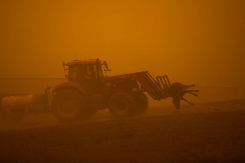 © Sean Davey - Image from the Beyond the Fire photography project