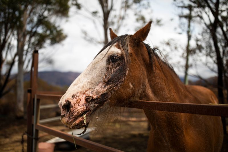 © Sean Davey - Image from the Beyond the Fire photography project