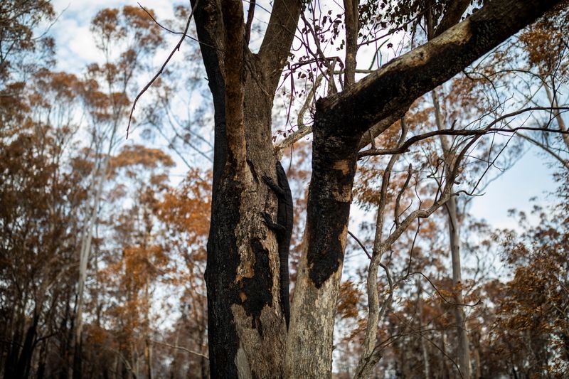 © Sean Davey - Image from the Beyond the Fire photography project