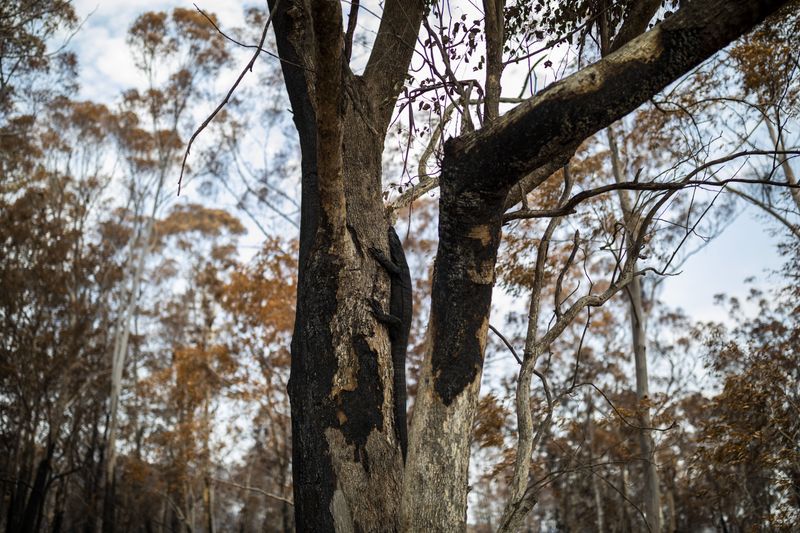 © Sean Davey - Image from the Beyond the Fire photography project